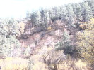 photo thumbnail #4