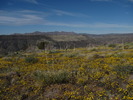 photo thumbnail #15