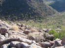 photo thumbnail #4