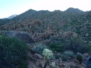 photo thumbnail #3