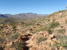 photo thumbnail #8