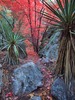 photo thumbnail #1