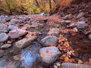 photo thumbnail #8