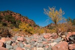 photo thumbnail #6