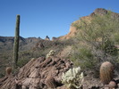 photo thumbnail #3