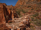 photo thumbnail #6