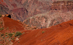 photo thumbnail #11