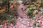 photo thumbnail #11