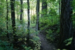 photo thumbnail #13