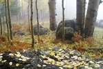 photo thumbnail #13