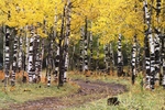 photo thumbnail #15