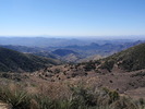 photo thumbnail #3