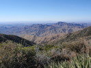photo thumbnail #4