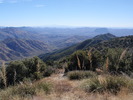 photo thumbnail #7
