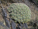 photo thumbnail #4