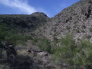 photo thumbnail #10