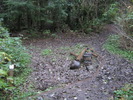 photo thumbnail #8