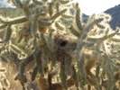 photo thumbnail #4