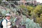 photo thumbnail #2