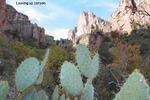 photo thumbnail #3