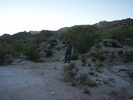photo thumbnail #1