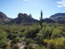 photo thumbnail #10