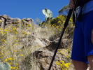 photo thumbnail #9