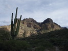 photo thumbnail #12