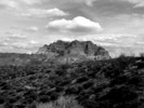 photo thumbnail #14