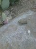 photo thumbnail #15