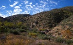 photo thumbnail #5