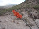 photo thumbnail #6