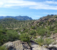 photo thumbnail #7