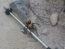 photo thumbnail #4