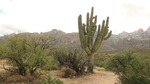 photo thumbnail #3
