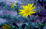photo thumbnail #13