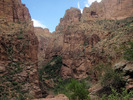 photo thumbnail #11