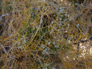 photo thumbnail #15