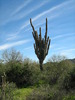 photo thumbnail #2