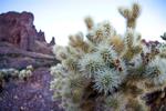 photo thumbnail #7