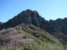 photo thumbnail #13
