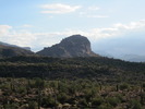photo thumbnail #2