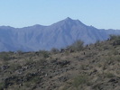 photo thumbnail #7