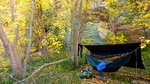 photo thumbnail #3
