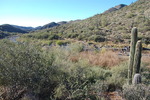 photo thumbnail #2