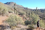 photo thumbnail #3