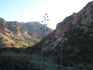 photo thumbnail #10