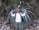 photo thumbnail #11