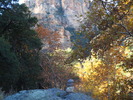 photo thumbnail #13