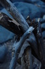 photo thumbnail #10